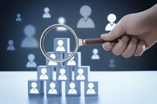 织密就业服务网络 架稳企业引才发展桥——西海岸新区网络技术服务助力人才就业