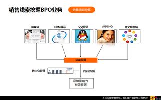 数赢云网络科技 引领未来的网络技术服务